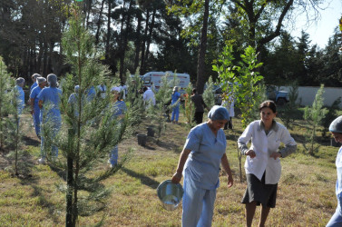 Biləsuvar Rayon Mərkəzi Xəstəxanasında 27 Sentyabr-Anım günü ilə bağlı ağacəkmə aksiyası keçirilib.
