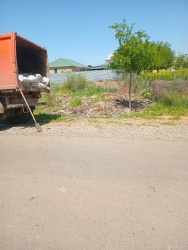 Şəhərin küçələrində aparılan abadlıq və təmizlik işləri davam etdirilib