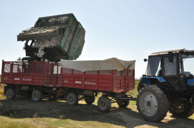 İcra başçısı  “MKT İstehsal Kommersiya ” və “P-Agro” şirkətlərinin   pambıq sahələrinə baxış keçirib.