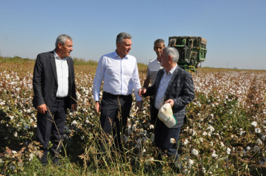 İcra başçısı  “MKT İstehsal Kommersiya ” və “P-Agro” şirkətlərinin   pambıq sahələrinə baxış keçirib.