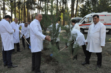 Biləsuvar Rayon Mərkəzi Xəstəxanasında 27 Sentyabr-Anım günü ilə bağlı ağacəkmə aksiyası keçirilib.
