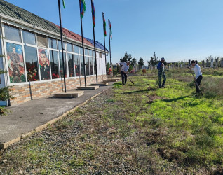 Biləsuvar rayonunda iməciliklər keçirilərək, təmizlik və abadlıq işləri aparılır.