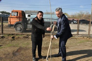 Biləsuvar rayonunun Bəydili kəndində “Heydər Əliyev adına park” salınıb