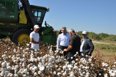 İcra başçısı  “MKT İstehsal Kommersiya ” və “P-Agro” şirkətlərinin   pambıq sahələrinə baxış keçirib.