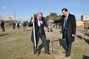 Biləsuvar rayonunun Bəydili kəndində “Heydər Əliyev adına park” salınıb