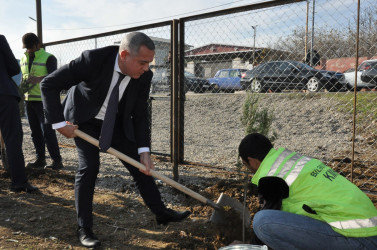 Biləsuvar rayonunun Bəydili kəndində “Heydər Əliyev adına park” salınıb