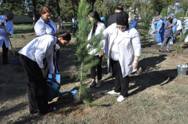 Biləsuvar Rayon Mərkəzi Xəstəxanasında 27 Sentyabr-Anım günü ilə bağlı ağacəkmə aksiyası keçirilib.