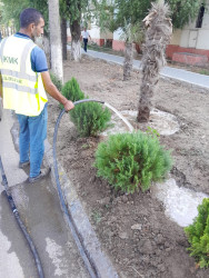 Şəhərin küçələrində aparılan abadlıq və təmizlik işləri bu gün də davam etdirilmişdir.