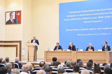 Biləsuvar rayonunda aqrar sahədə yeni Dövlət Proqramının müzakirəsi ilə bağlı regional müşavirə keçirilib.