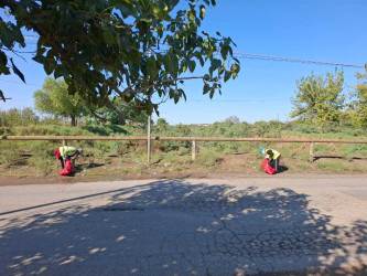 Biləsuvar rayonunda iməciliklər keçirilərək, təmizlik və abadlıq işləri aparılır.