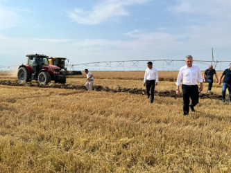 Biləsuvar Rayon İcra Hakimiyyətinin başçısı Faiq Qürbətov “Aqropark -Yaşıl Ada” aqroparkında olaraq iş şəraitinə baxış keçirib.