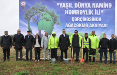 Biləsuvarda “Yaşıl dünya naminə həmrəylik ili” çərçivəsində növbəti ağacəkmə aksiyası keçirilib