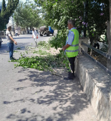 Biləsuvar şəhərinin küçələrində 18 iyul tarixində də  abadlıq və təmizlik işləri davam etdirilmişdir.