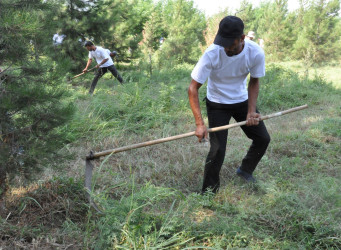 Biləsuvarda 2-ci “İti dəryaz” otbiçmə yarışı keçirilib.