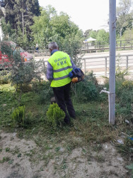 Şəhərin küçələrində aparılan abadlıq və təmizlik işləri davam etdirilir