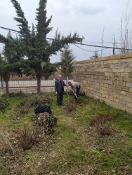 Biləsuvarda "Yaşıl dünya naminə həmrəylik ili" çərçivəsində ağacəkmə aksiyası keçirilib.