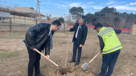 Biləsuvar rayonunun Bəydili kəndində “Heydər Əliyev adına park” salınıb