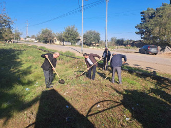 Biləsuvar rayonunda iməciliklər keçirilərək, təmizlik və abadlıq işləri aparılır.