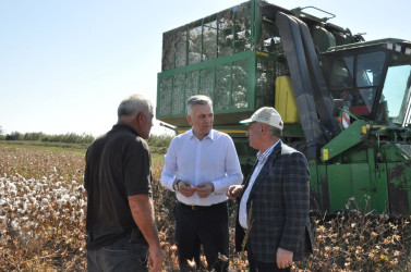 İcra başçısı  “MKT İstehsal Kommersiya ” və “P-Agro” şirkətlərinin   pambıq sahələrinə baxış keçirib.