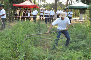 Biləsuvarda 2-ci “İti dəryaz” otbiçmə yarışı keçirilib.