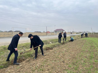 Biləsuvarda "Yaşıl dünya naminə həmrəylik ili" çərçivəsində ağacəkmə aksiyası keçirilib.