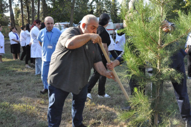 Biləsuvar Rayon Mərkəzi Xəstəxanasında 27 Sentyabr-Anım günü ilə bağlı ağacəkmə aksiyası keçirilib.