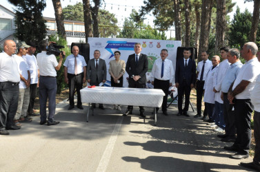 Biləsuvarda 2-ci “İti dəryaz” otbiçmə yarışı keçirilib.