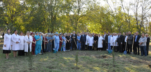 Biləsuvar Rayon Mərkəzi Xəstəxanasında 27 Sentyabr-Anım günü ilə bağlı ağacəkmə aksiyası keçirilib.