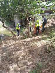 Şəhərin küçələrində aparılan abadlıq və təmizlik işləri davam etdirilir