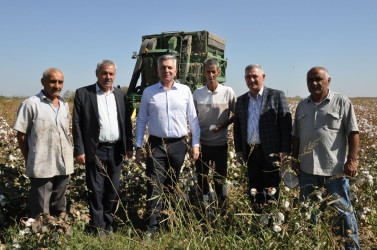 İcra başçısı  “MKT İstehsal Kommersiya ” və “P-Agro” şirkətlərinin   pambıq sahələrinə baxış keçirib.