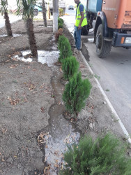 Şəhərin küçələrində aparılan abadlıq və təmizlik işləri bu gün də davam etdirilmişdir.