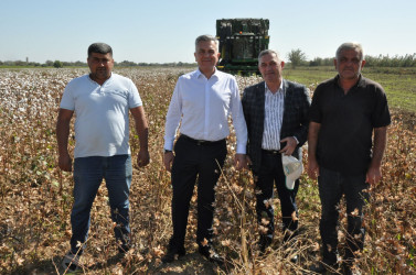 İcra başçısı  “MKT İstehsal Kommersiya ” və “P-Agro” şirkətlərinin   pambıq sahələrinə baxış keçirib.