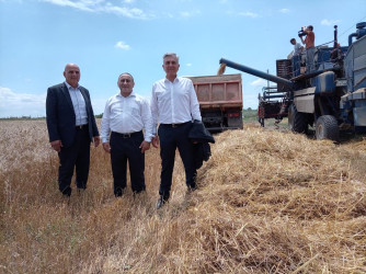 Taxıl yığımında yüksək məhsuldarlıq təmin olunub.