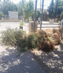 Biləsuvar şəhərinin küçələrində 18 iyul tarixində də  abadlıq və təmizlik işləri davam etdirilmişdir.