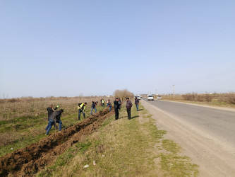 18 fevral tarixində Biləsuvar rayonunda növbəti ağacəkmə aksiyası keçirilib.