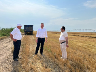 Biləsuvar Rayon İcra Hakimiyyətinin başçısı Faiq Qürbətov “Aqropark -Yaşıl Ada” aqroparkında olaraq iş şəraitinə baxış keçirib.