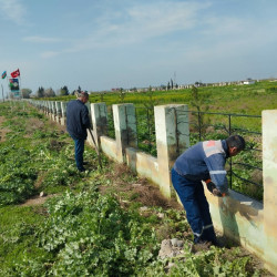 Biləsuvar rayonunda 16 aprel tarixində növbəti ağacəkmə aksiyası və iməciliklər keçirilib.