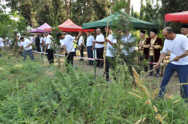 Biləsuvarda 2-ci “İti dəryaz” otbiçmə yarışı keçirilib.