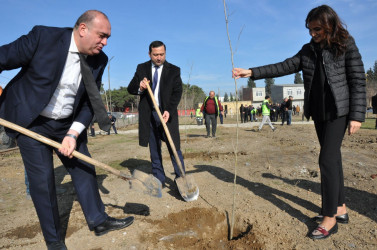 Biləsuvar rayonunun Bəydili kəndində “Heydər Əliyev adına park” salınıb