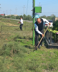 Biləsuvar rayonunda iməciliklər keçirilərək, təmizlik və abadlıq işləri aparılır.