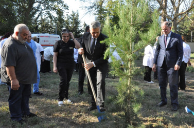 Biləsuvar Rayon Mərkəzi Xəstəxanasında 27 Sentyabr-Anım günü ilə bağlı ağacəkmə aksiyası keçirilib.